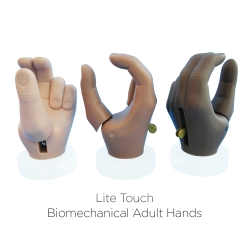 TRS Adult Hands & Prehensors